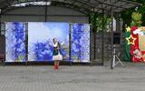Праздничная программа