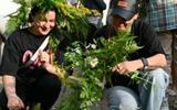 Трэнінг па вырабу вянкоў з жывых кветак “Кветачкі звіваем”