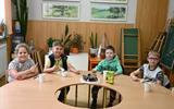 Летние группы художественного развития «Лето творчеством согрето»