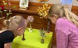 Выставка детских работ "Калейдоскоп деревьев"