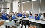 Праздничная программа "С Новым годом!"