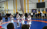 Торжественное открытие открытого первенства Минской области по борьбе греко-римской