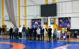 Торжественное открытие открытого первенства Минской области по борьбе греко-римской