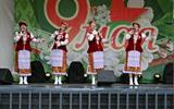 Концертная программа, посвященная 81-й годовщине Победы в Великой Отечественной войне