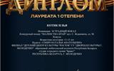 Международный конкурс-фестиваль «Спасибо деду за победу»