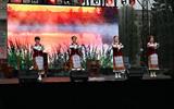 Концертная программа "Там, дзе спявае душа"