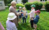 "Калейдоскоп событий" с летними группами художественного развития