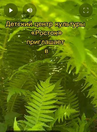 Снимок