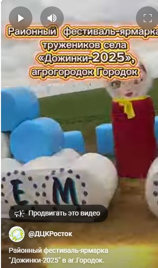 Районный фестиваль-ярмарка тружеников села "Дожинки-2025"