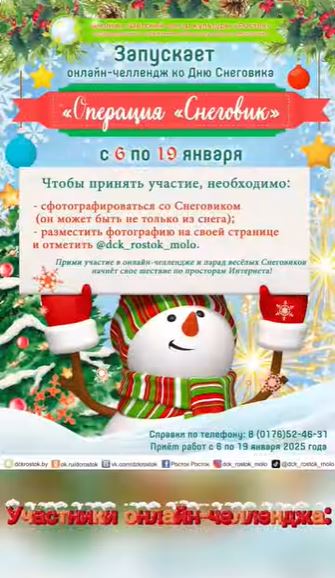 Итоги онлайн-челленджа ко Дню Снеговика &laquo;Операция &laquo;Снеговик&raquo;